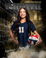 OC_VB_9th_Ind2-37