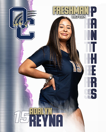 OC_VB_9th_Ind1-26