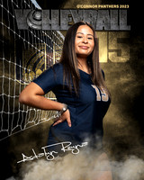 OC_VB_9th_Ind2-26