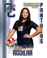 OC_VB_9th_Ind1-41