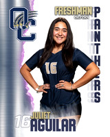 OC_VB_9th_Ind1-13