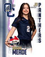 OC_VB_JV_Ind1-44