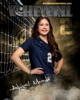OC_VB_JV_Ind2-02