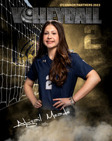 OC_VB_JV_Ind2-16
