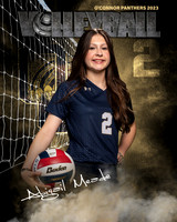 OC_VB_JV_Ind2-44