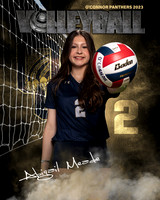 OC_VB_JV_Ind2-58