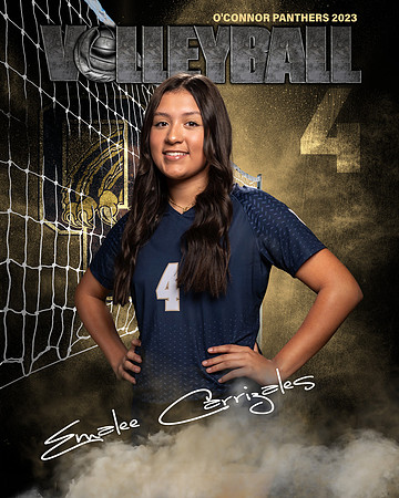 OC_VB_JV_Ind2-04