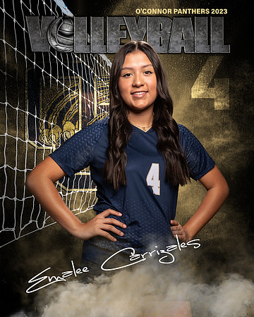 OC_VB_JV_Ind2-18