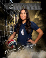 OC_VB_JV_Ind2-32