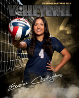 OC_VB_JV_Ind2-60