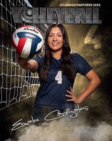 OC_VB_JV_Ind2-60