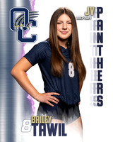 OC_VB_JV_Ind1-22