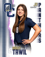 OC_VB_JV_Ind1-08