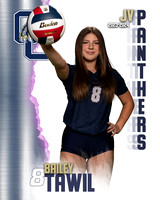 OC_VB_JV_Ind1-64