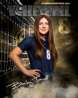 OC_VB_JV_Ind2-22