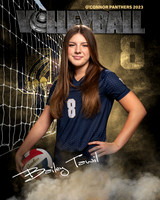OC_VB_JV_Ind2-36