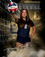 OC_VB_JV_Ind2-64