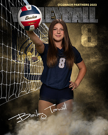 OC_VB_JV_Ind2-64