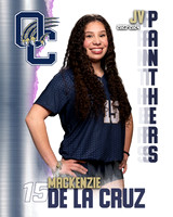 OC_VB_JV_Ind1-28