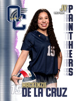 OC_VB_JV_Ind1-56
