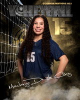 OC_VB_JV_Ind2-14