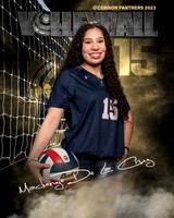 OC_VB_JV_Ind2-56
