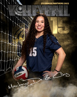 OC_VB_JV_Ind2-42