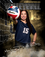 OC_VB_JV_Ind2-70