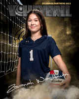 OC_VB_JV_Ind2-29
