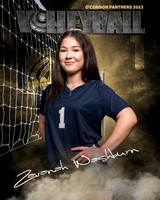 OC_VB_JV_Ind2-01