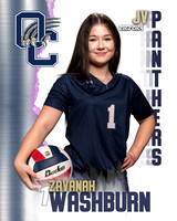 OC_VB_JV_Ind1-43