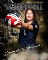 OC_VB_JV_Ind2-57