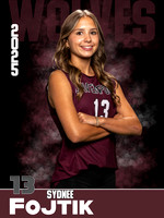DHS_VB_JV_Ind1-29