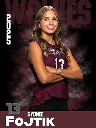 DHS_VB_JV_Ind1-29