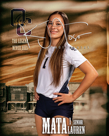 OC_VB_Var_Ind1-16