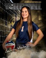 OC_VB_Var_Ind2-46