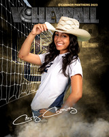 OC_VB_Var_Ind2-62
