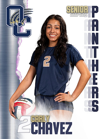 OC_Var_Banners-02