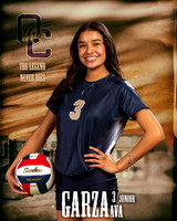 OC_VB_Var_Ind1-48