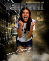 OC_VB_Var_Ind2-33