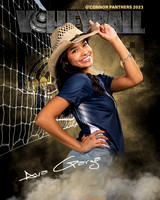 OC_VB_Var_Ind2-63