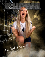 OC_VB_Var_Ind2-34
