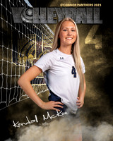 OC_VB_Var_Ind2-19