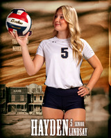 OC_VB_Var_Ind1-35