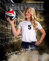OC_VB_Var_Ind2-35