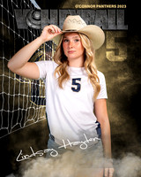 OC_VB_Var_Ind2-65