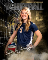 OC_VB_Var_Ind2-50