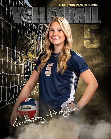 OC_VB_Var_Ind2-50