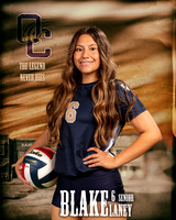 OC_VB_Var_Ind1-51