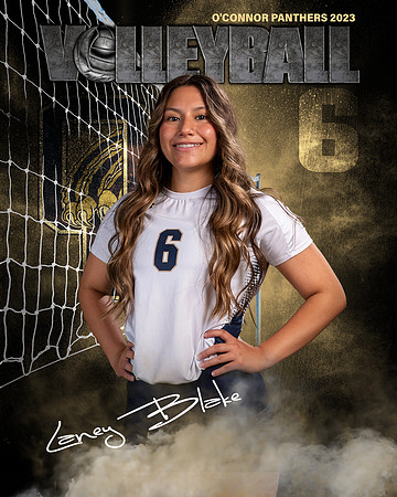 OC_VB_Var_Ind2-06